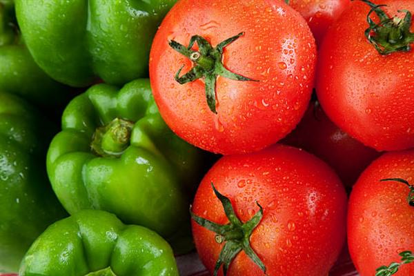 Перець і помідори в одній теплиці: основні правила вирощування